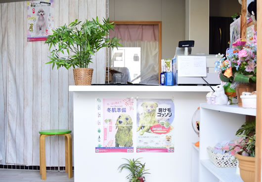 私たちについて